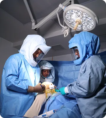 Screenshot 2022-04-07 at 12.19 25