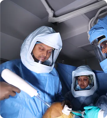 Screenshot 2022-04-07 at 12.19 26